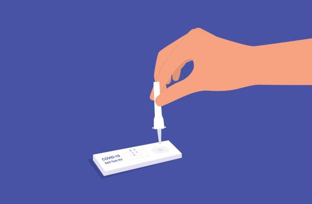 istockphoto-1335324049-612x612