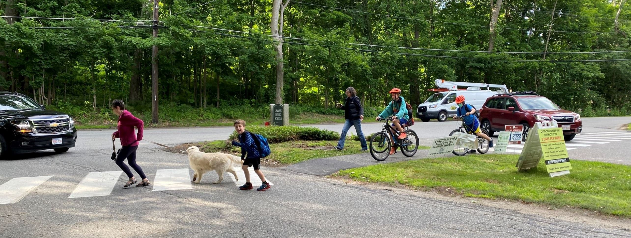 ballfield 3 - in presentation