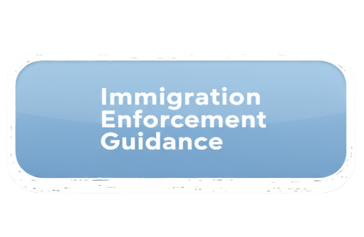 Immigration Enforcement Guidelines