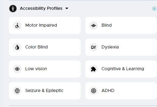 Accessibilty Profiles